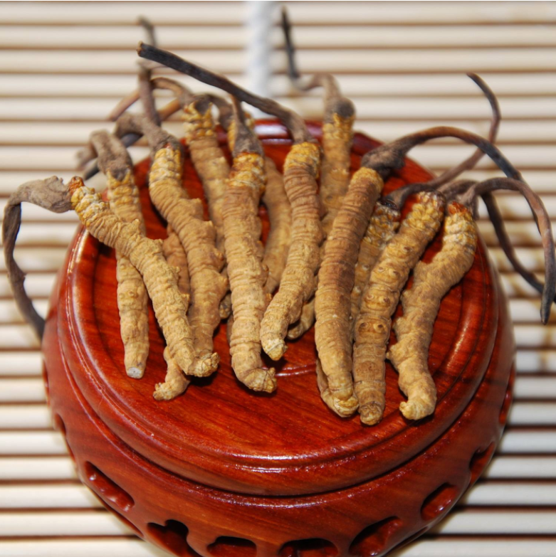 海珠野生高海拔那曲虫草价格透明